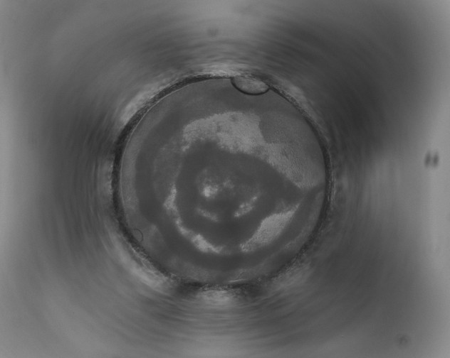 X0000111440299200907131312