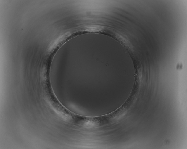 X0000111440303200907131312