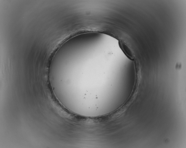 X0000111440305200907131312