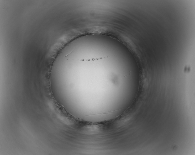 X0000111440307200907131312