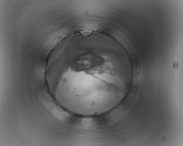 X0000111440309200907131312