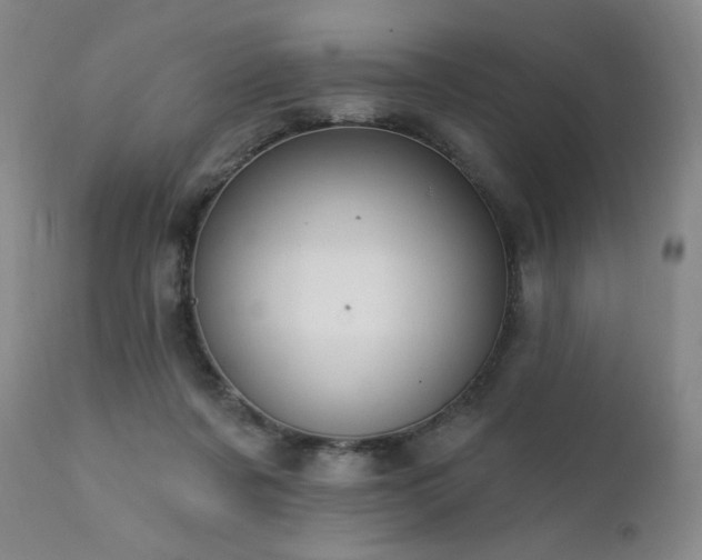 X0000111440311200907131312