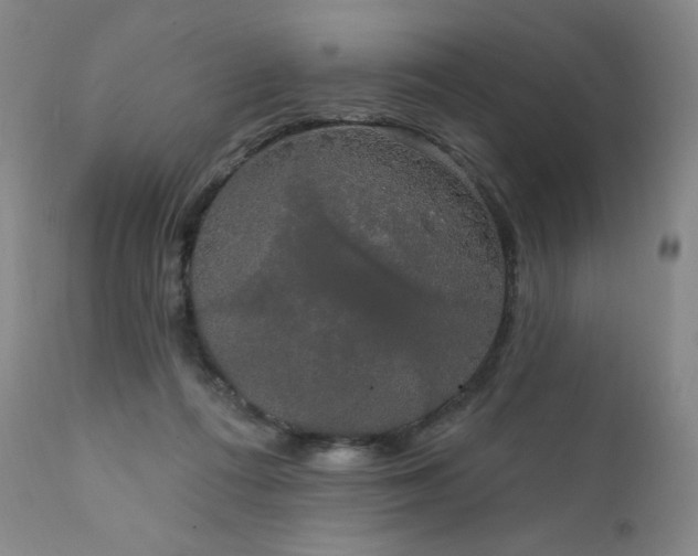 X0000111440312200907131312