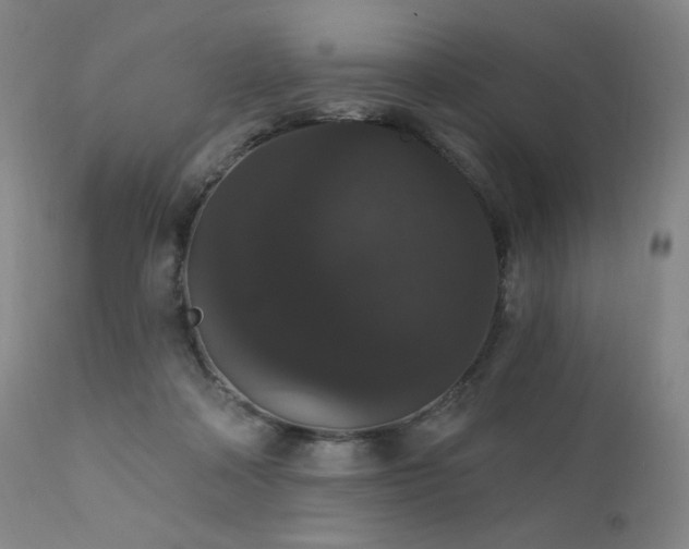 X0000111440314200907131312