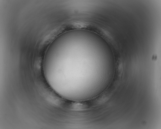 X0000111440315200907131312