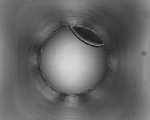 X0000111440317200907131312