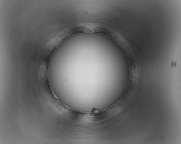 X0000111440318200907131312