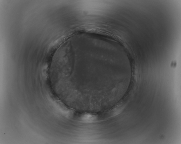 X0000111440319200907131312