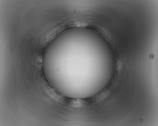 X0000111440321200907131312