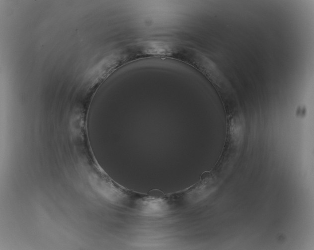 X0000111440322200907131312
