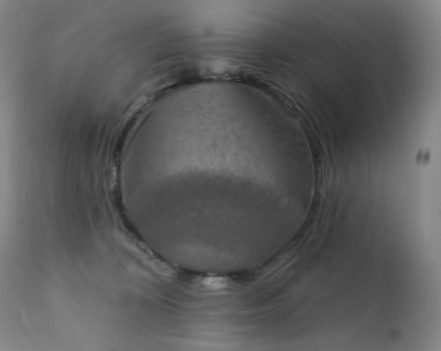 X0000111440324200907131312