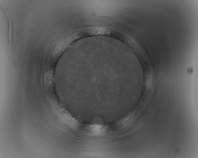 X0000111440326200907131312