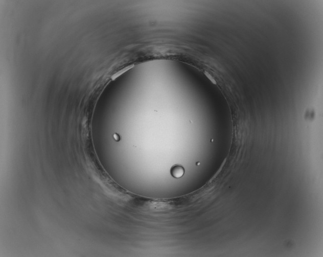 X0000111440327200907131312