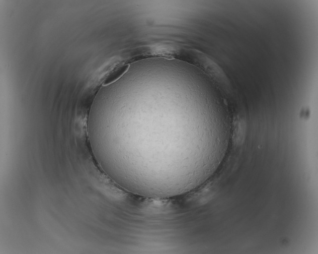 X0000111440329200907131312