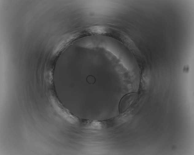 X0000111440330200907131312