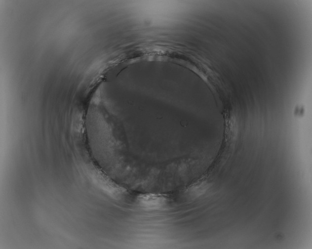 X0000111440331200907131312