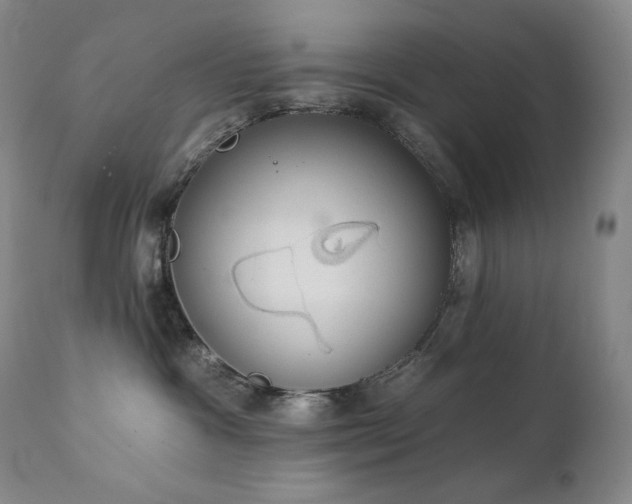 X0000111440333200907131311