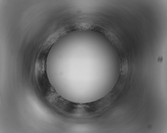 X0000111440334200907131311