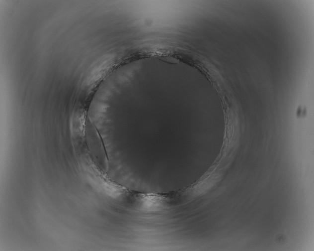 X0000111440336200907131311