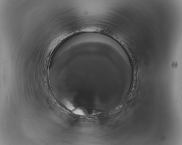X0000111440337200907131311
