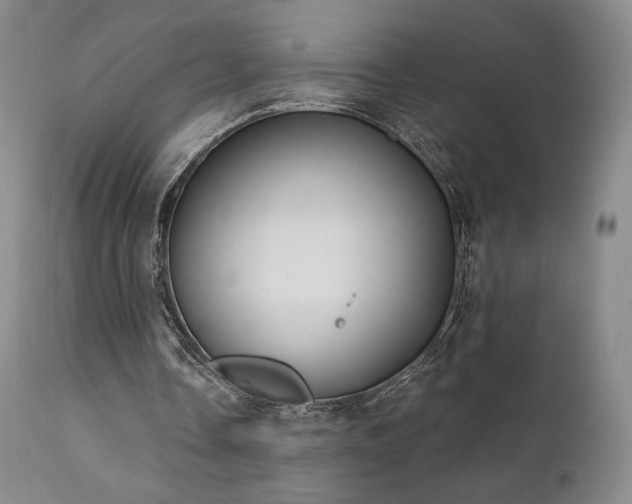 X0000111440338200907131311