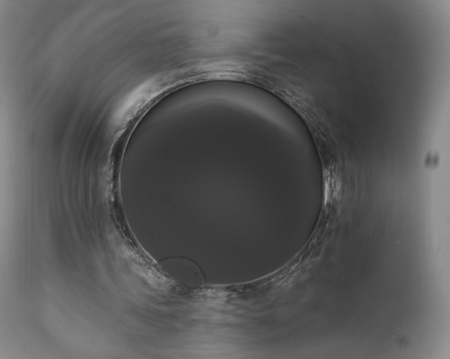 X0000111440339200907131311