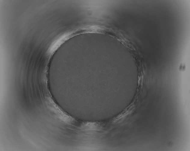 X0000111440341200907131311