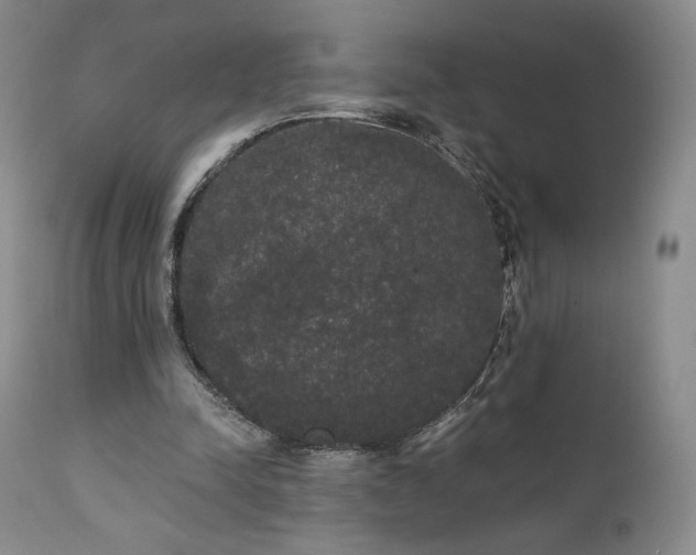 X0000111440342200907131311