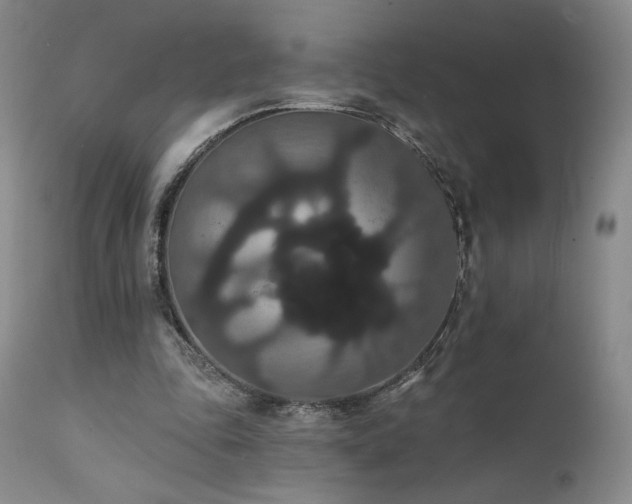 X0000111440343200907131311