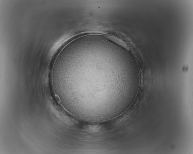 X0000111440344200907131311