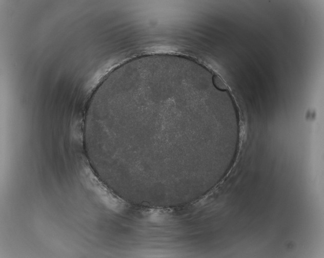 X0000111440345200907131311