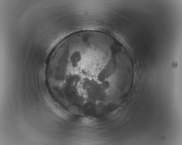 X0000111440346200907131311