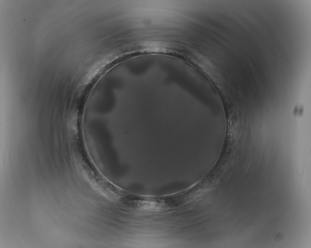 X0000111440347200907131311