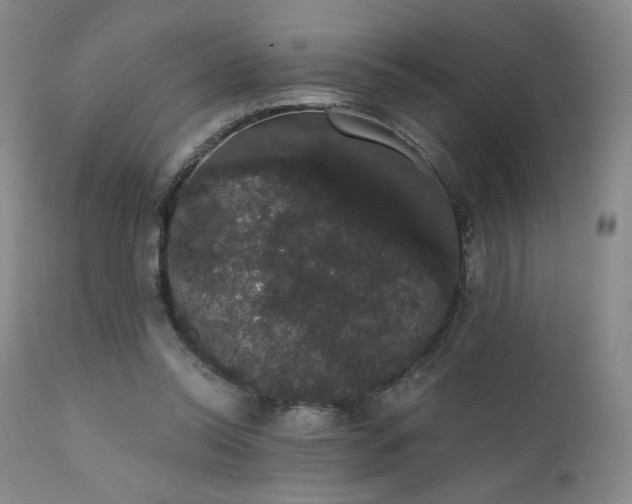 X0000111440350200907131311