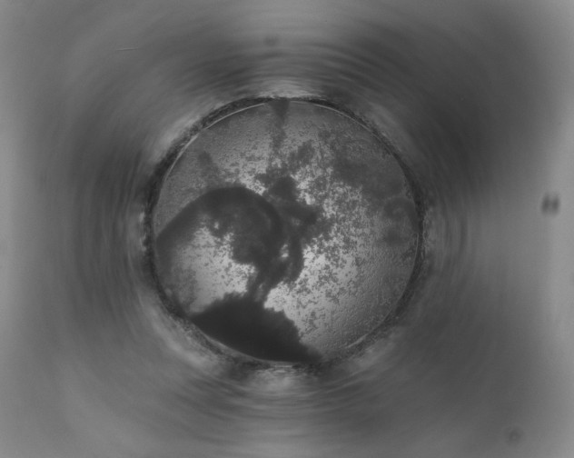 X0000111440351200907131311