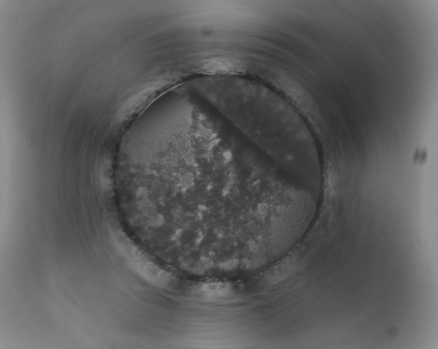 X0000111440353200907131311