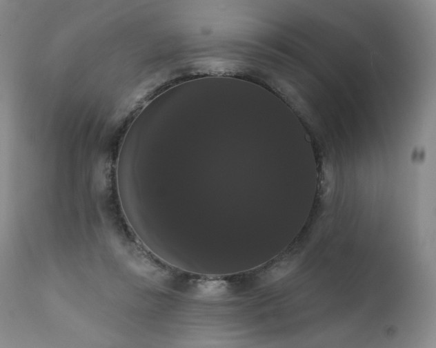 X0000111440355200907131311