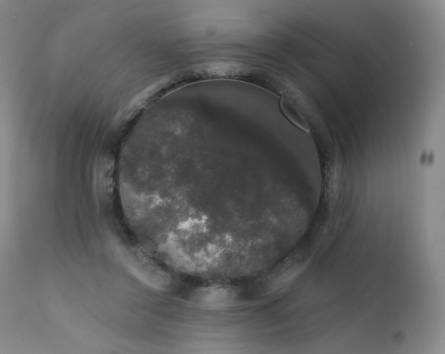 X0000111440356200907131311