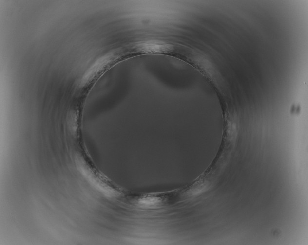 X0000111440357200907131311