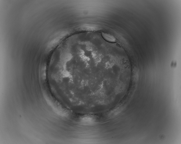 X0000111440358200907131311