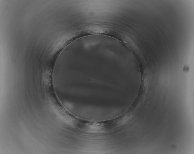 X0000111440359200907131311
