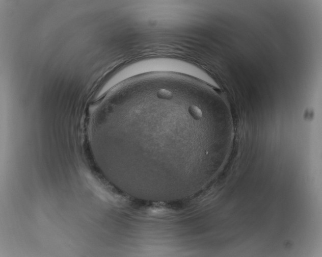 X0000111440360200907131311