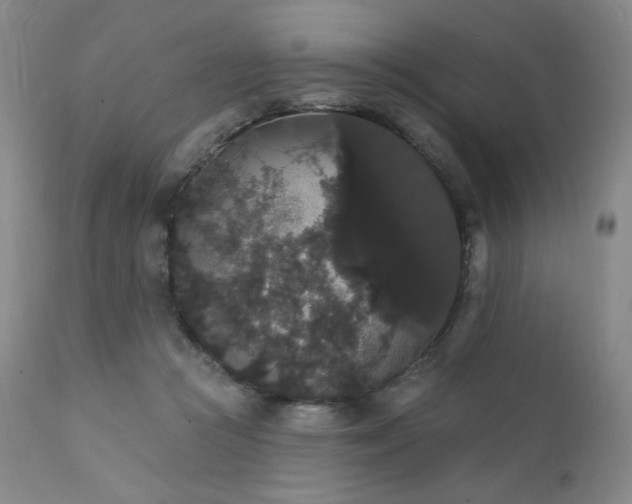 X0000111440361200907131311