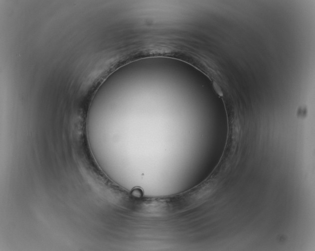 X0000111440362200907131311