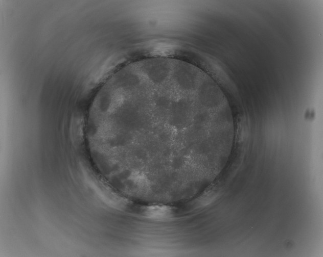 X0000111440363200907131311