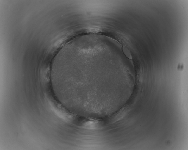 X0000111440364200907131311