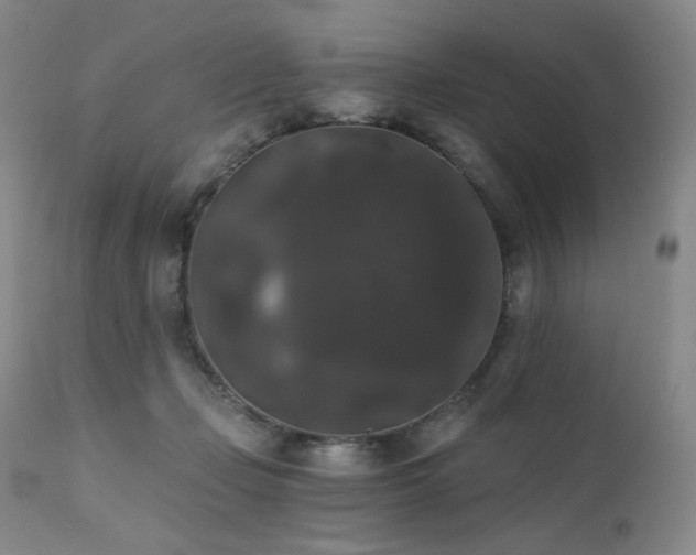 X0000111440365200907131311