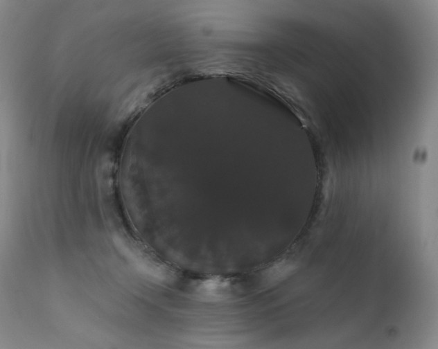X0000111440366200907131311