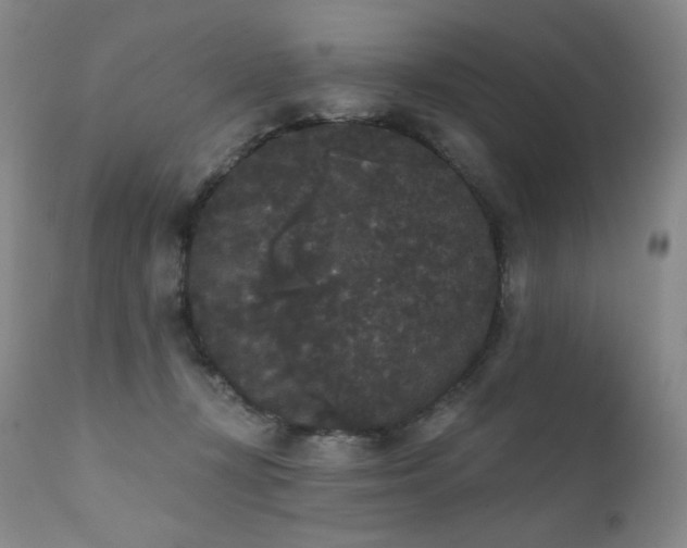 X0000111440367200907131311