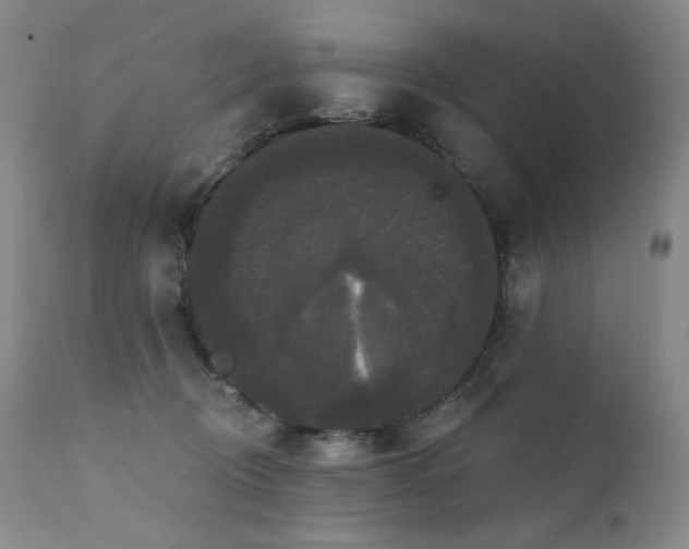 X0000111440370200907131311